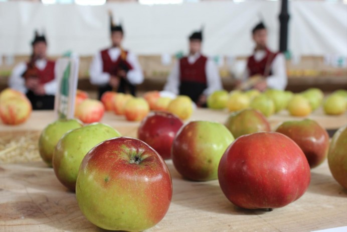 El Festival de la Manzana de Villaviciosa ya es Fiesta de Interés Turístico Nacional